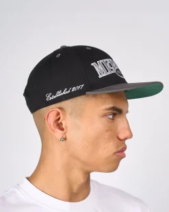 Grey Idaho Snapback